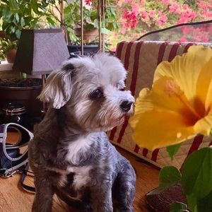 Meet your Posher, Bill